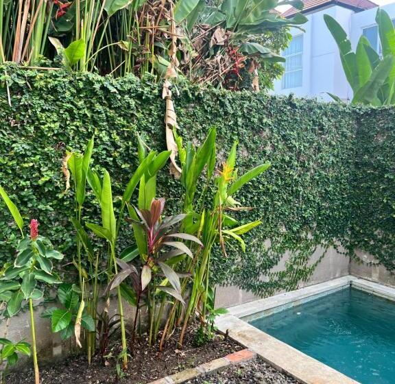 פנסיון Alergia Villa