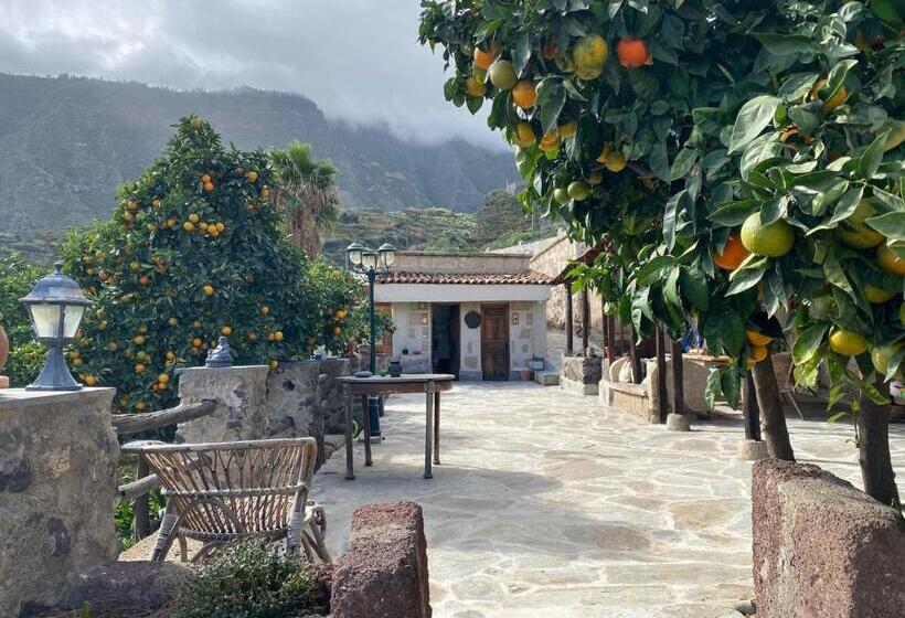 بنسيون Biofinca Casa El Riego