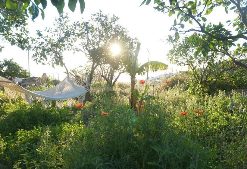 Пансион Biofinca Casa El Riego