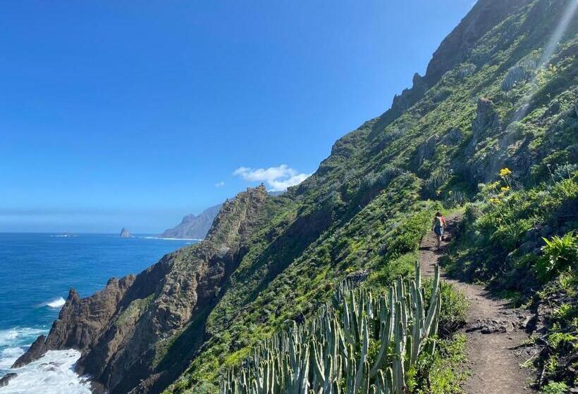 بنسيون Biofinca Casa El Riego