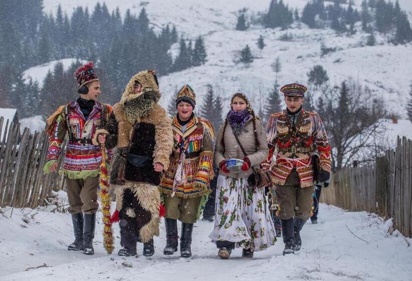 膳宿费 Bucovina Exclusiv