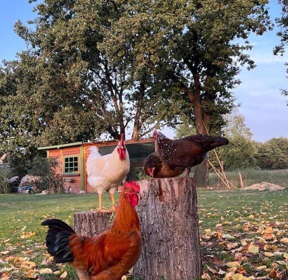 膳宿费 Camera Tripla Il Picchio Verde