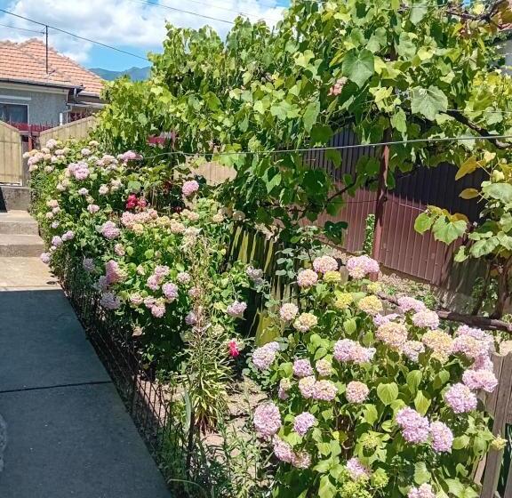 펜션 Casa Cristian