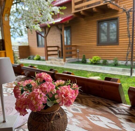 膳宿费 Casa Danady