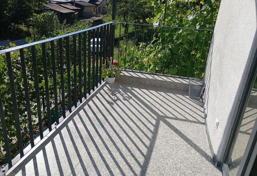 ペンション Casa Stejaru