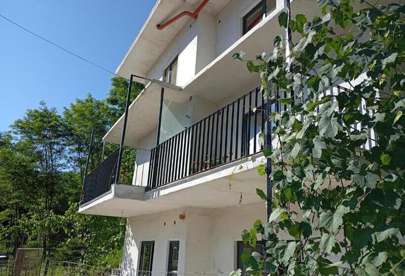 ペンション Casa Stejaru