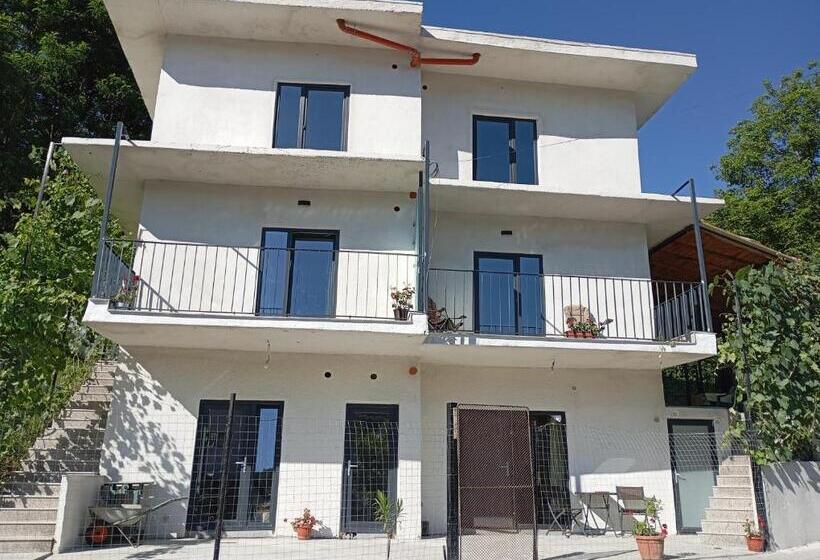 ペンション Casa Stejaru