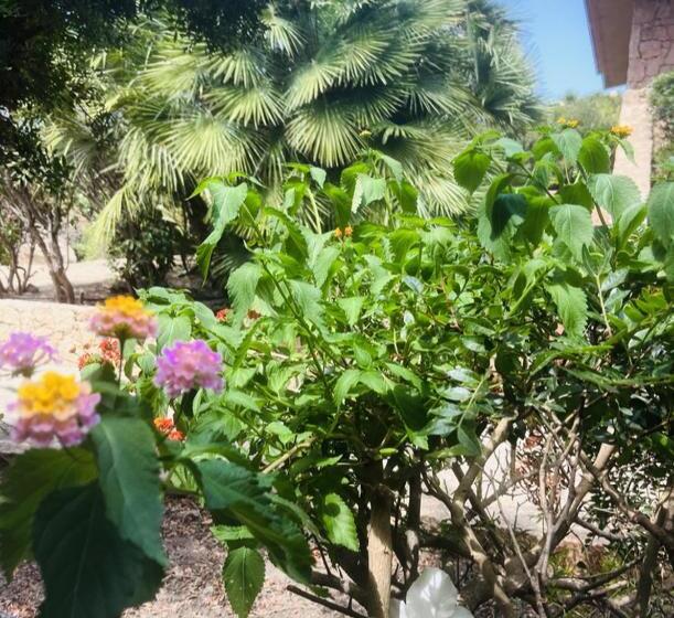 פנסיון Happy Room With Garden And Terrace