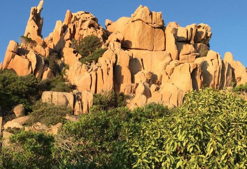 פנסיון Happy Room With Garden And Terrace