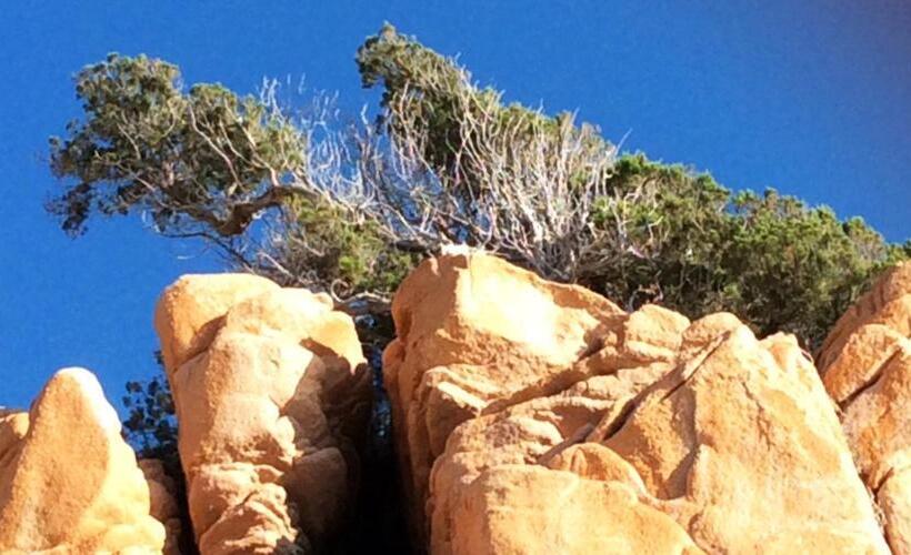 פנסיון Happy Room With Garden And Terrace