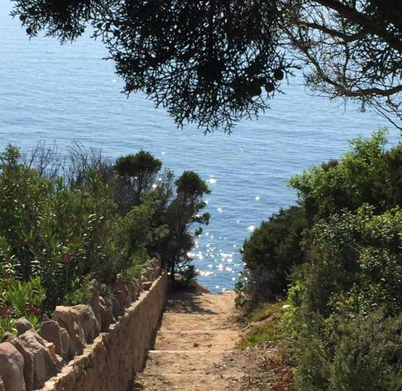 פנסיון Happy Room With Garden And Terrace
