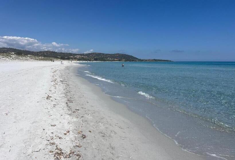 פנסיון Massetti Rooms