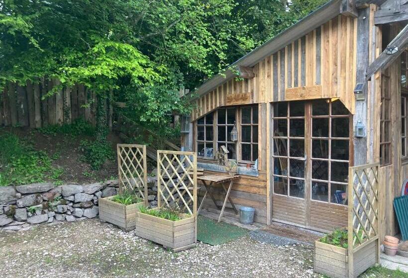 פנסיון Ressourcement En Nature De Brocéliande