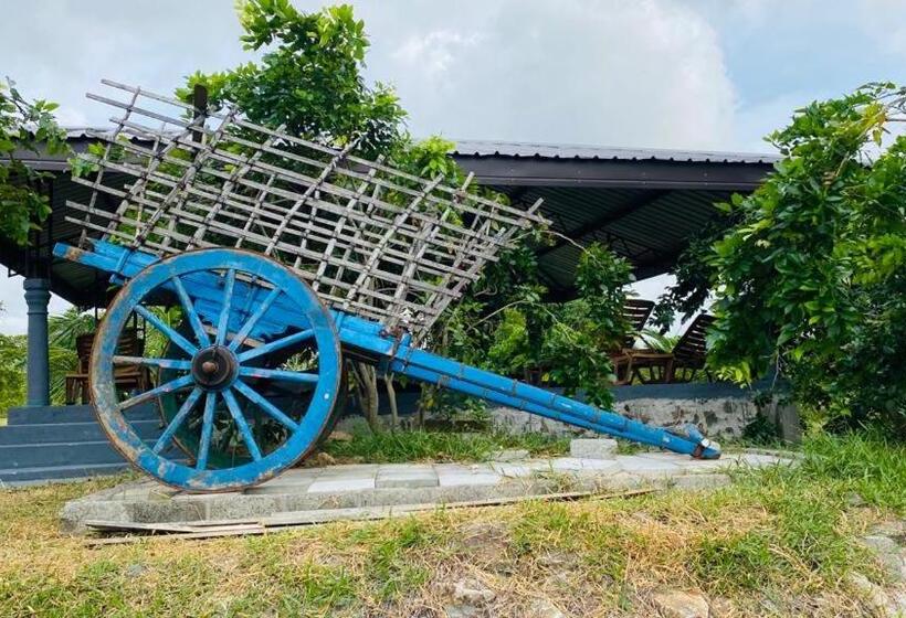 Пансион Suwa Arana Family Resort