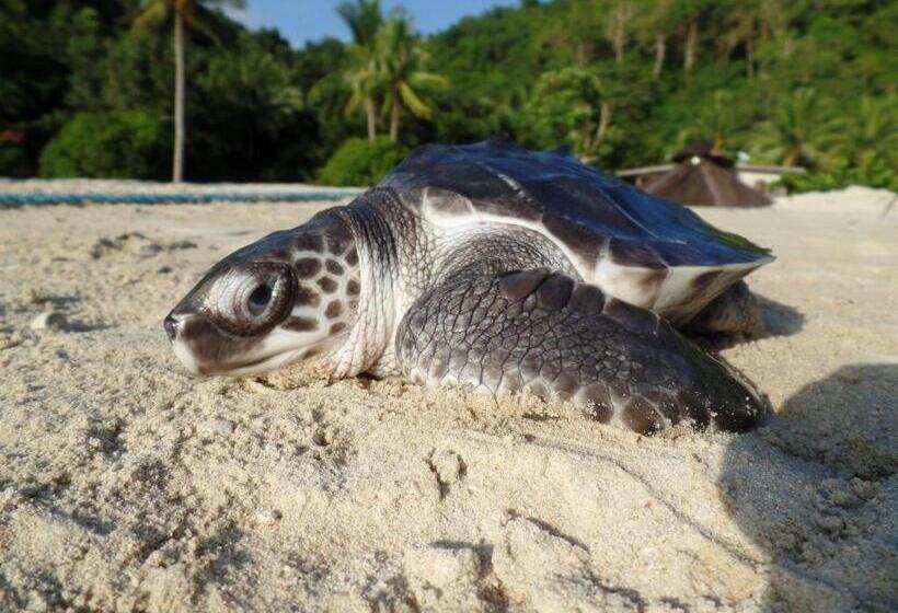 Secret Paradise Resort & Turtle Sanctuary