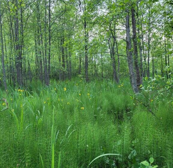 Wannabe Hostel Fu 47