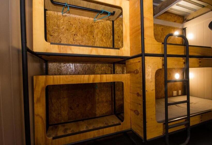 فندق صغير Afri Adventure Backpackers