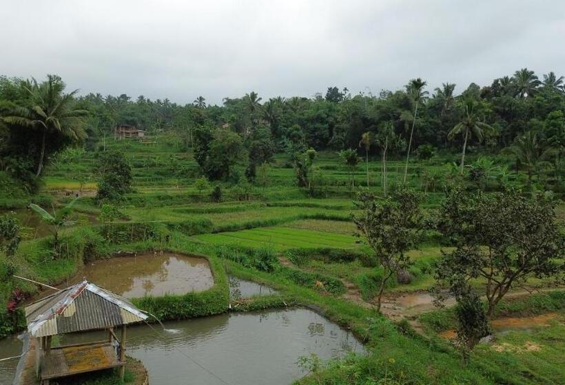 הוסטל Alora House Lombok Tete Batu