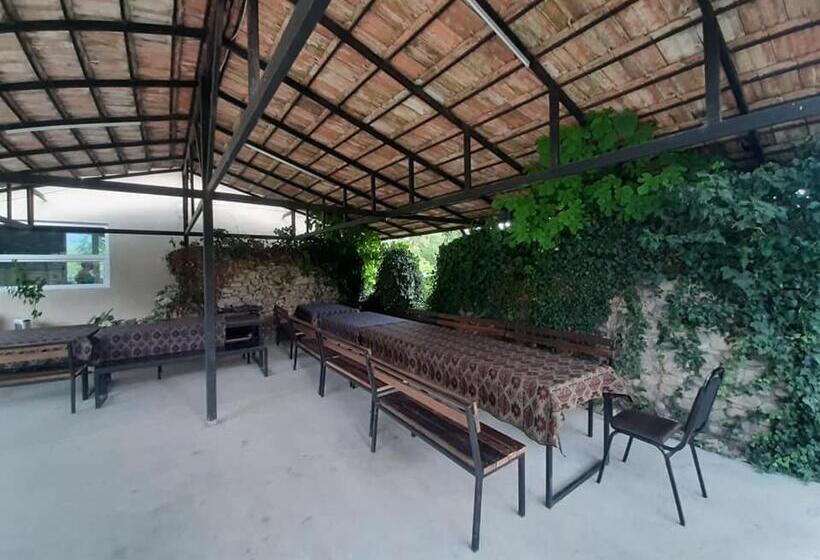 هاستل Dali S Guest House