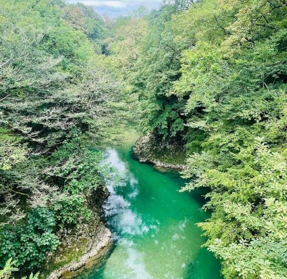 هاستل Dali S Guest House