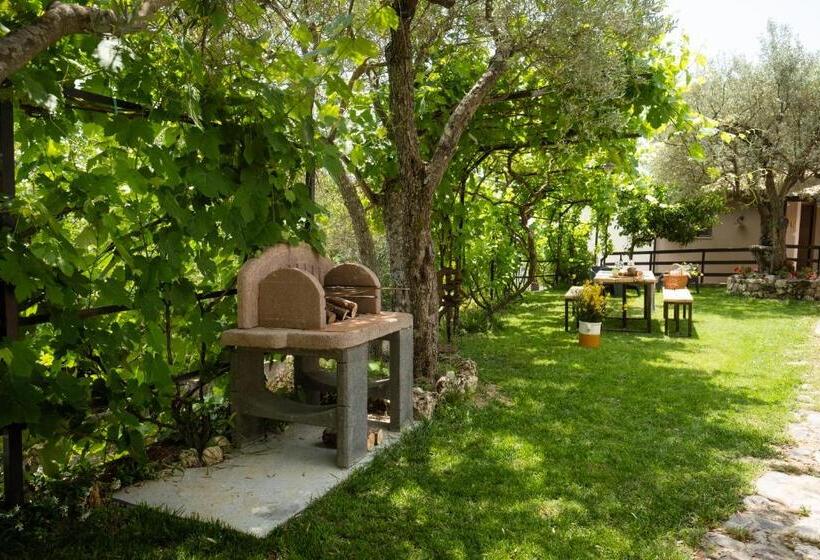 הוסטל Locanda Degli Ulivi