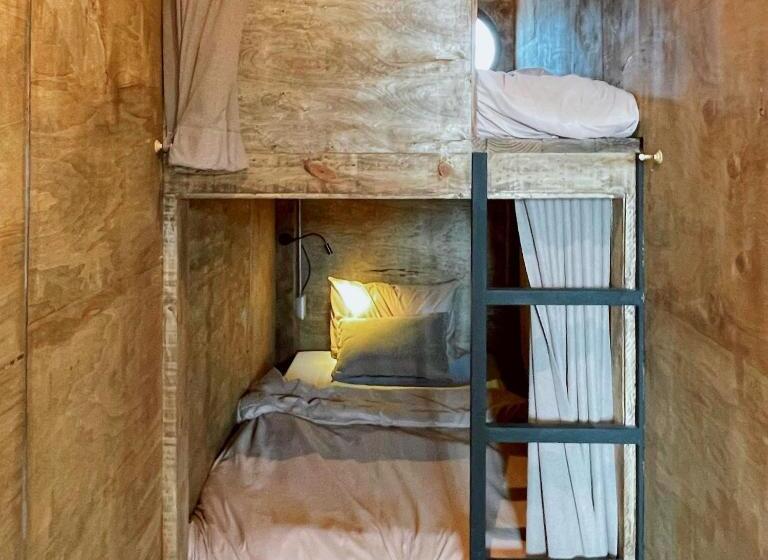 הוסטל Shack The Nap