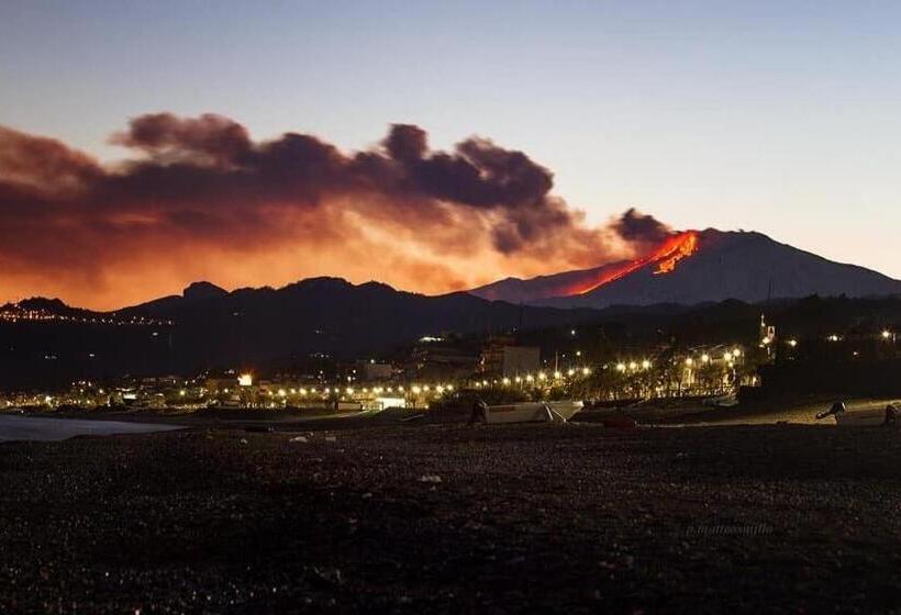 住宿加早餐 Geranium