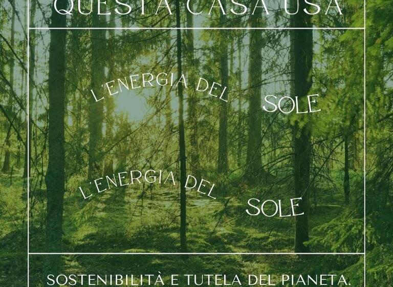 住宿加早餐 Geranium