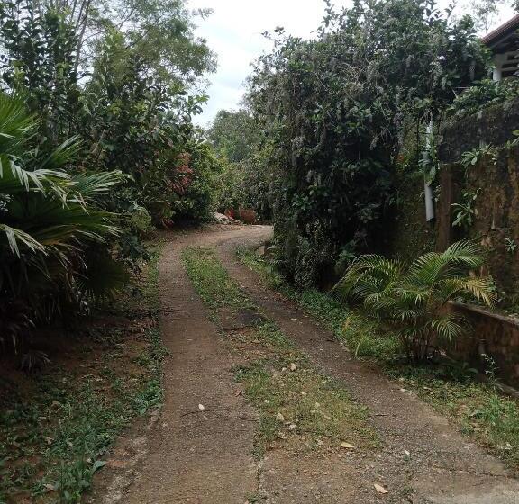 Bed and Breakfast Js Home Ella