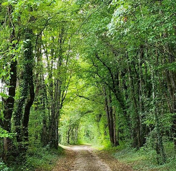 ベッドアンドブレックファースト Le Petit Pré