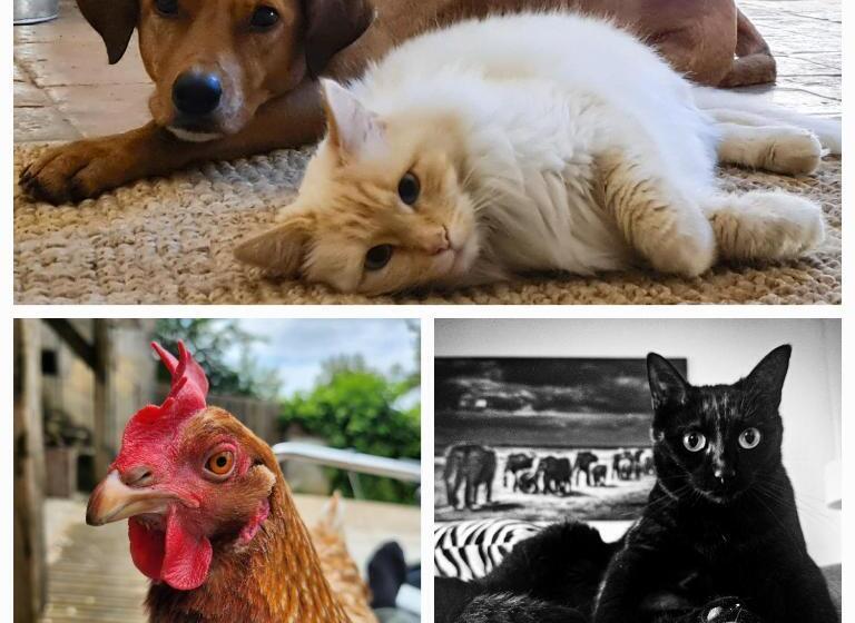 ベッドアンドブレックファースト Le Petit Pré