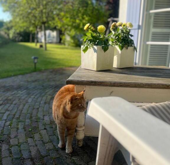 Bed and Breakfast Lingeliefde Logement Complete Studio Met Eigen Keuken En Badkamer