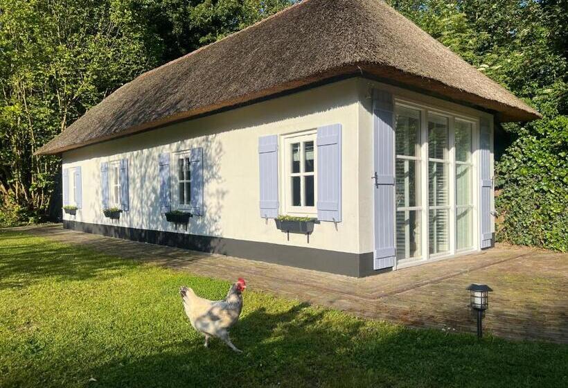 Bed and Breakfast Lingeliefde Logement Complete Studio Met Eigen Keuken En Badkamer