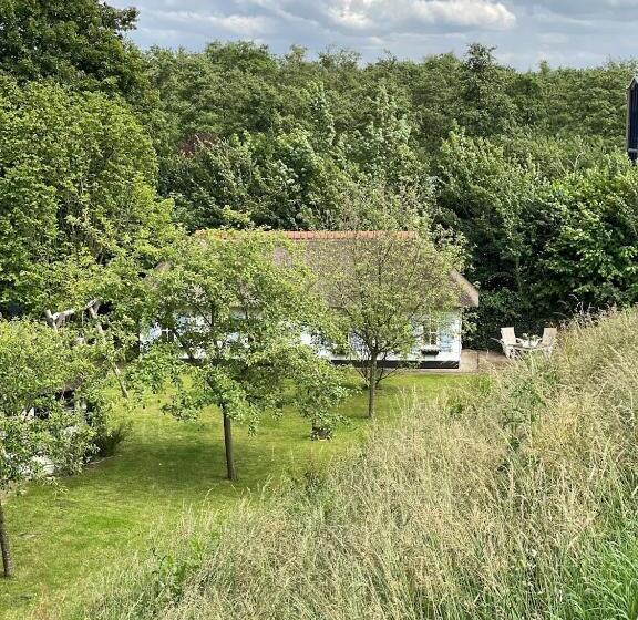 Bed and Breakfast Lingeliefde Logement Complete Studio Met Eigen Keuken En Badkamer