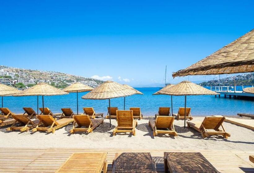 مبيت وإفطار Mare Alba