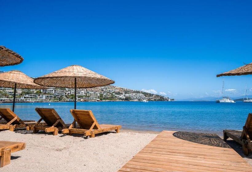 مبيت وإفطار Mare Alba