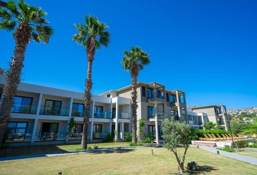 مبيت وإفطار Mare Alba