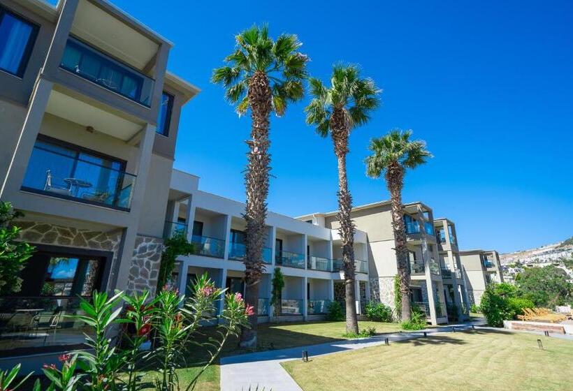 مبيت وإفطار Mare Alba