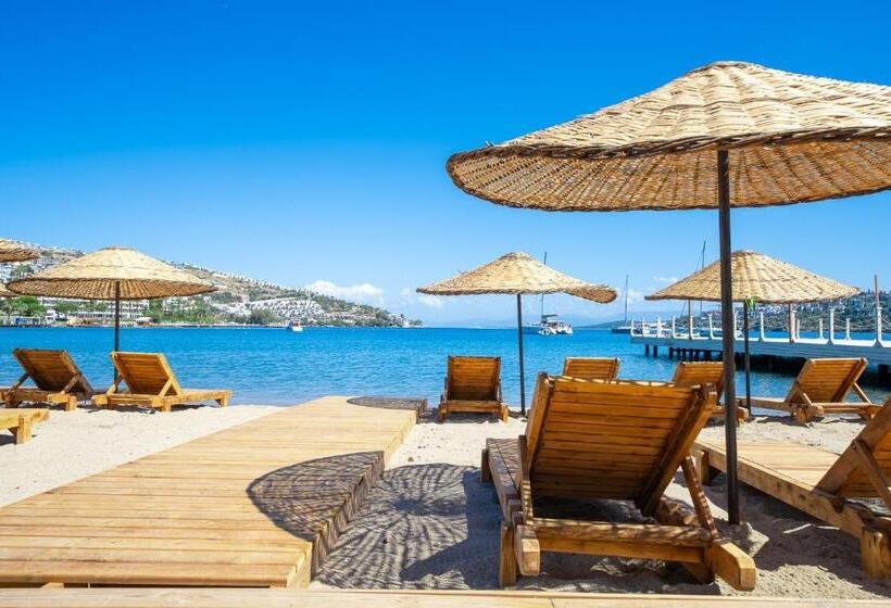 مبيت وإفطار Mare Alba