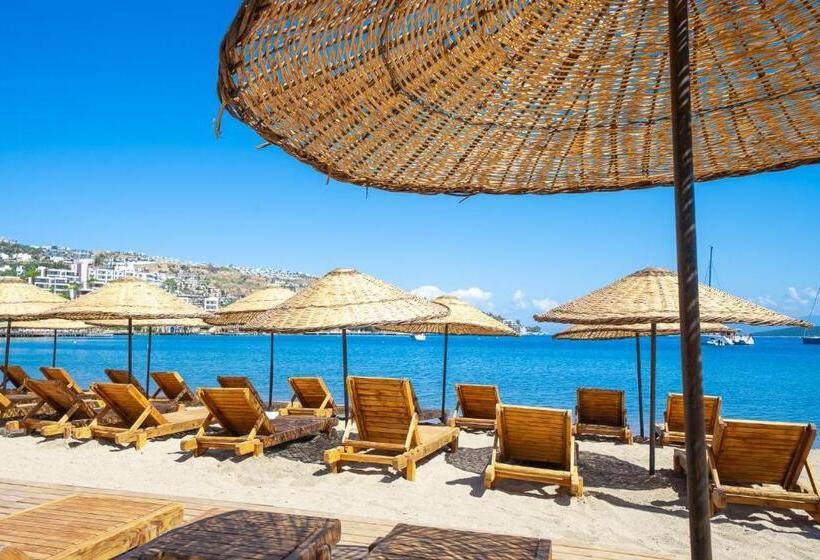 مبيت وإفطار Mare Alba