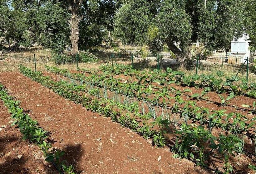 住宿加早餐 Trulli Oiseaux Migrateurs