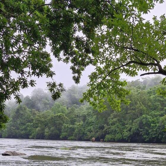 Falcon Riverview Resorts