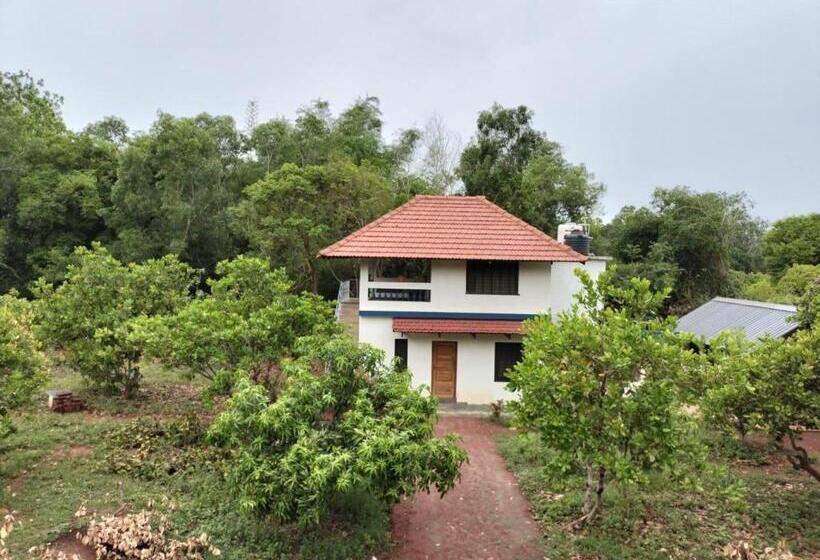 Hostel Exp, Auroville   A Rural Retreat Experience