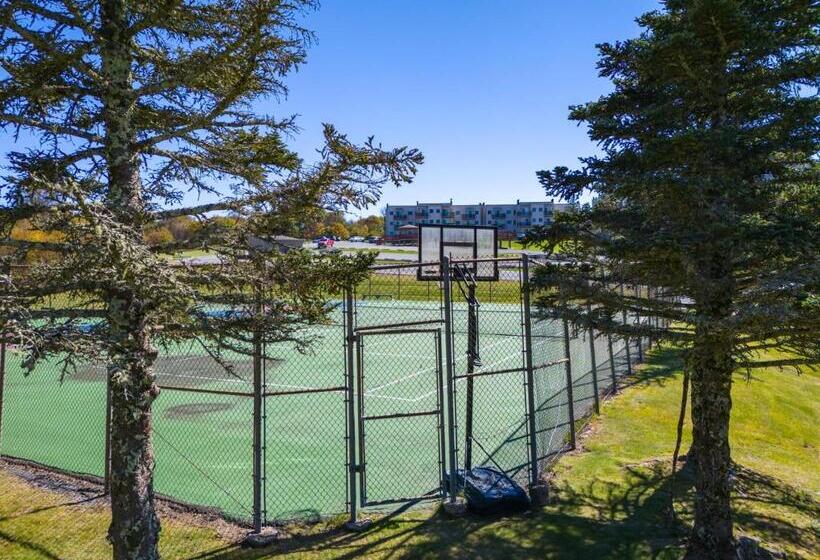 فندق 301 Pinnacle Inn Rd 1214 By Carolina Stays