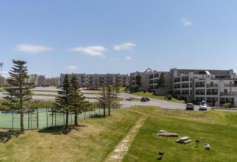 فندق 301 Pinnacle Inn Rd 1214 By Carolina Stays