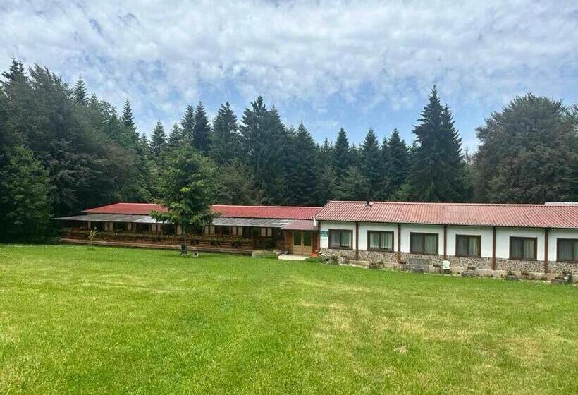 Mоura Boutique & Spa Hotel Borovets