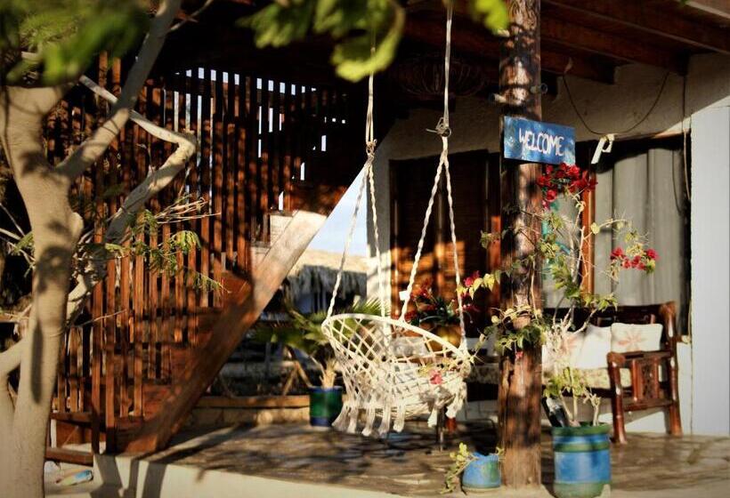 Отель Casa Del Mar Ecodelfinazul