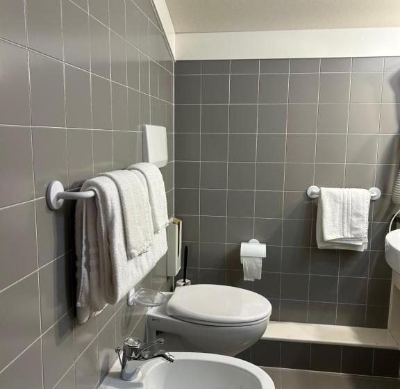 فندق Continental