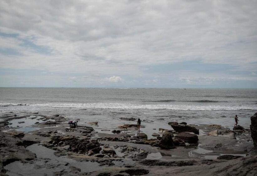 מלון כמוסות Eco Hospedaje Ata Ladrilleros