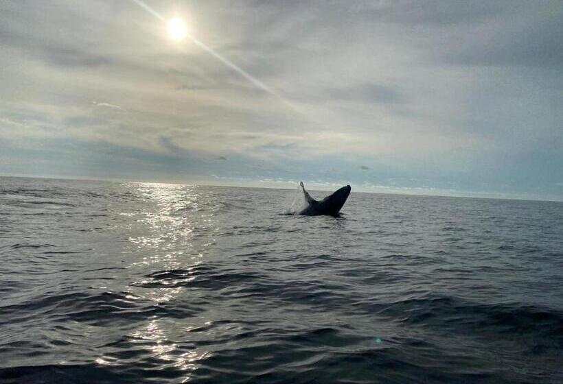 מלון כמוסות Eco Hospedaje Ata Ladrilleros